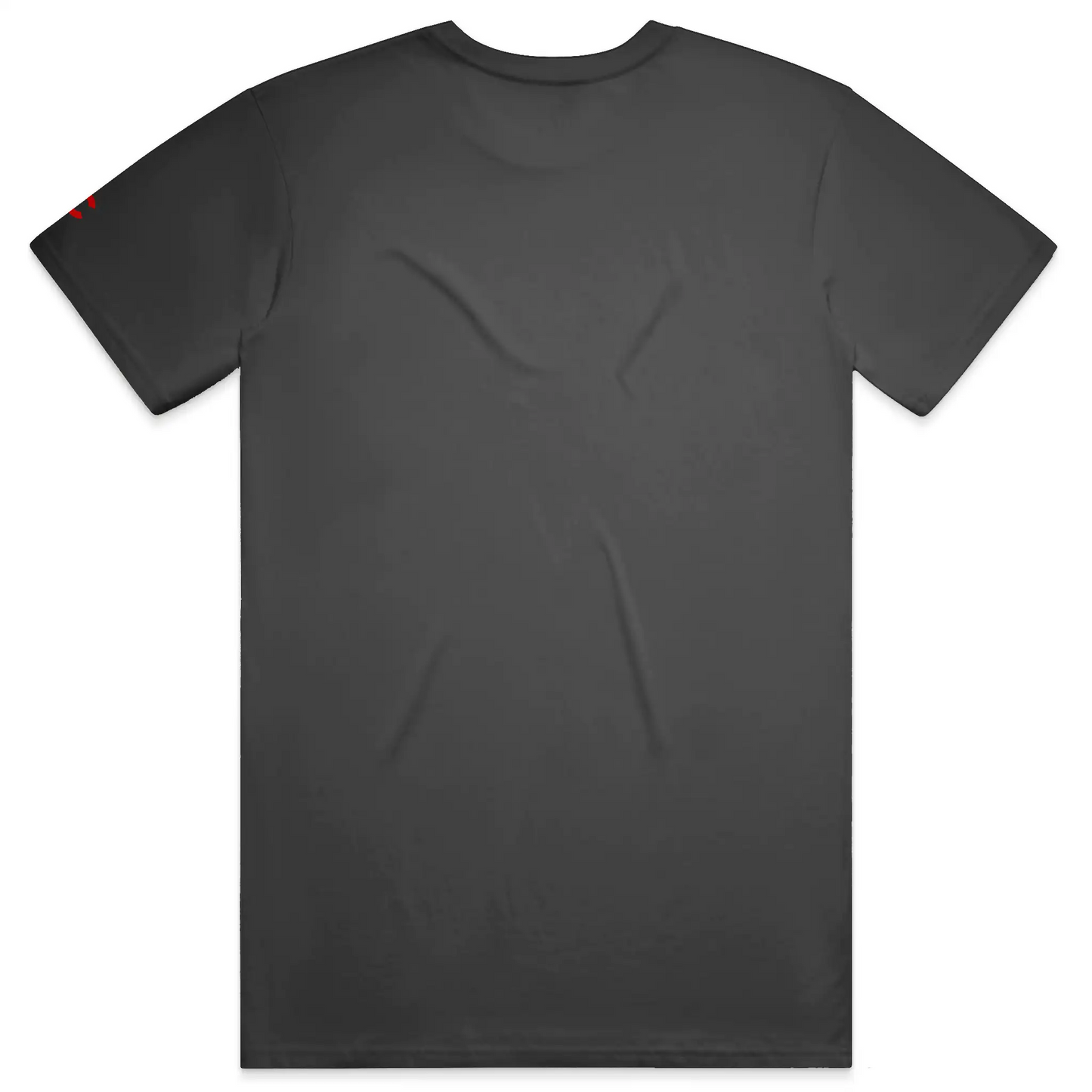 Chicago Flag Organic Tee