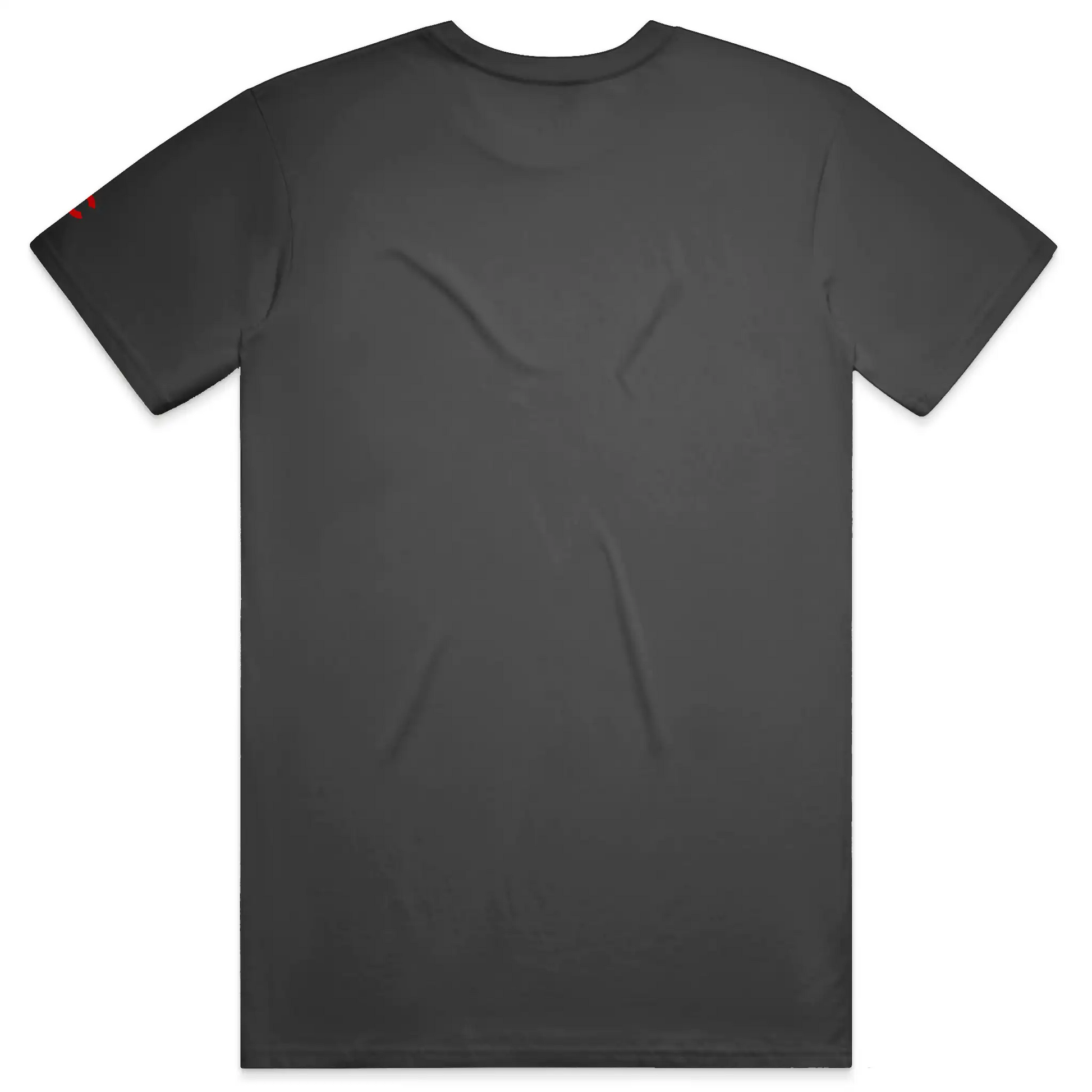 Chicago Flag Organic Tee